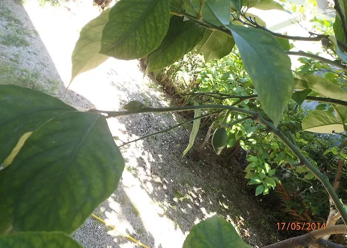 Bed & Breakfast Sirin