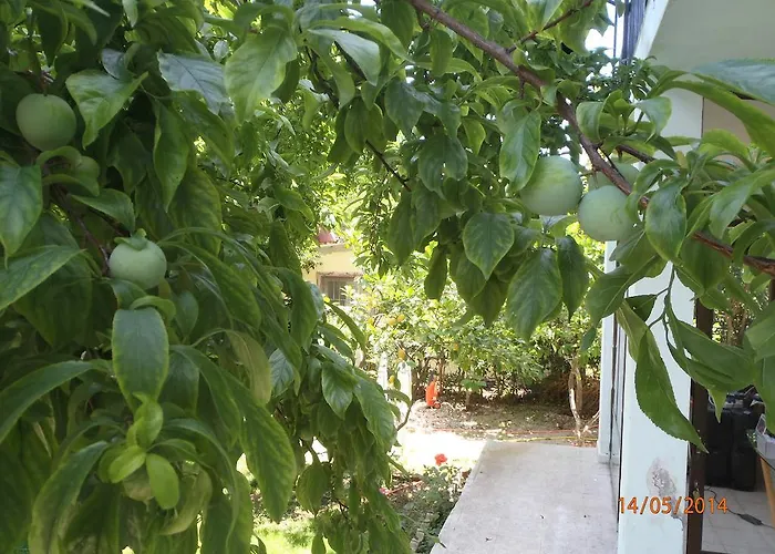 Bed & Breakfast Sirin 2*