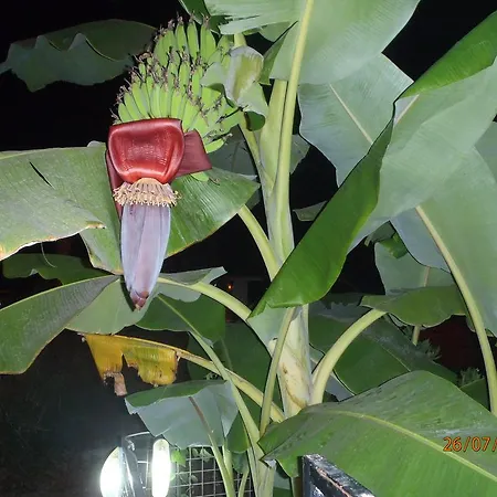 Sirin Bed & Breakfast