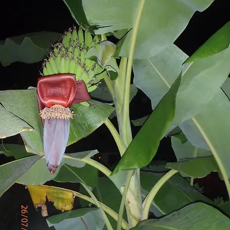 Bed & Breakfast Sirin 2*