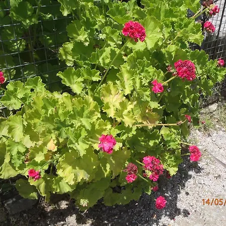 Sirin Couette-café Fethiye