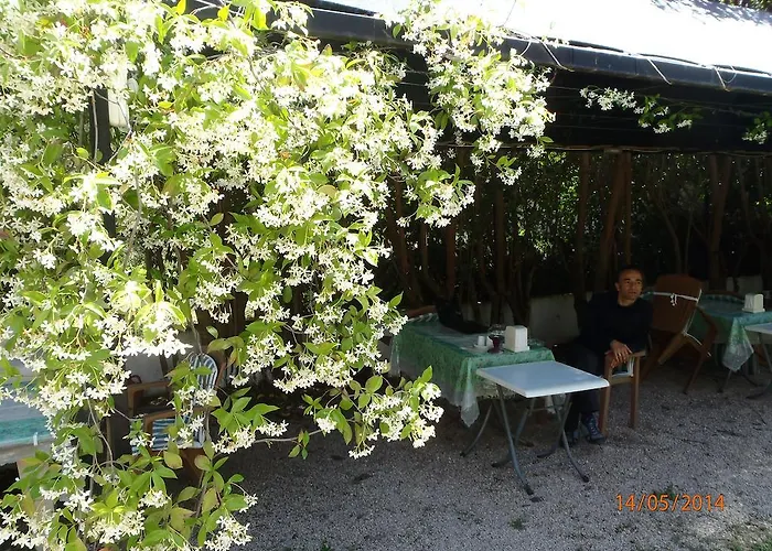 Bed & Breakfast Sirin