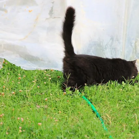 Sirin Frühstückspension 2*