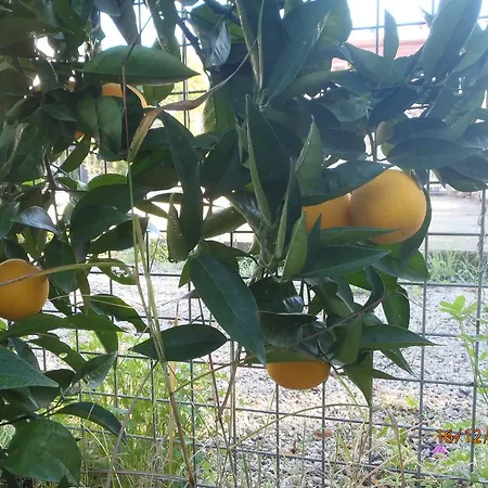 Sirin Frühstückspension 2*