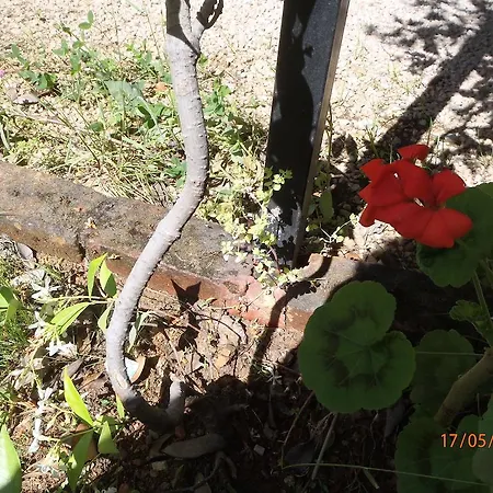 Sirin 2* פאטהיה