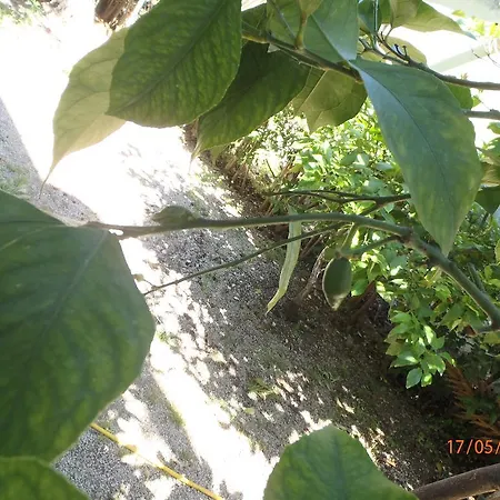 לינה וארוחת בוקר Sirin