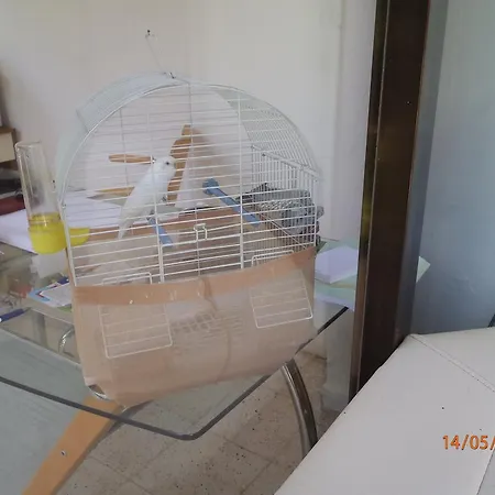 לינה וארוחת בוקר Sirin פאטהיה