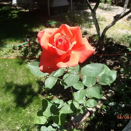 Sirin Frühstückspension