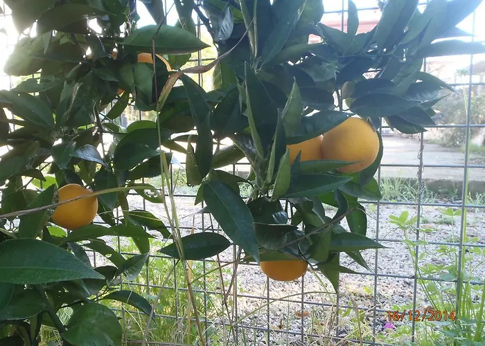 Sirin Bed and Breakfast 2*