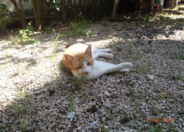 Bed and Breakfast Sirin