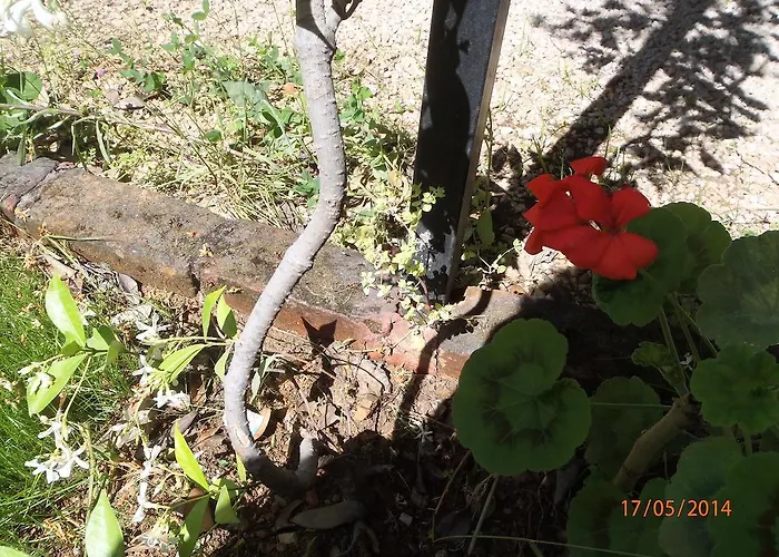 丝琳旅馆 2* 费特希耶