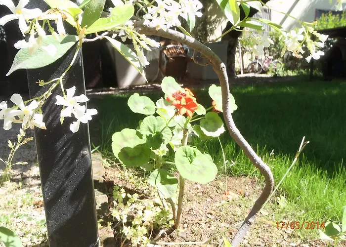 丝琳旅馆 住宿加早餐酒店