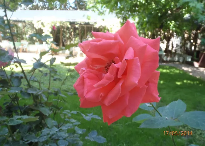 Sirin Bed and Breakfast