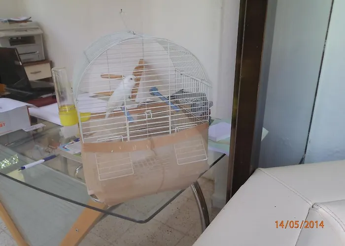 Bed and Breakfast Sirin Φετιγιέ