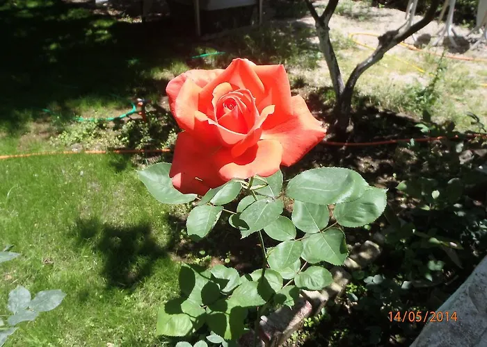 丝琳旅馆 住宿加早餐酒店