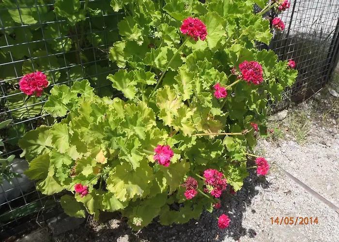 Sirin Bed and Breakfast Φετιγιέ