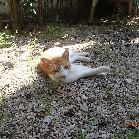 Bed & Breakfast Sirin