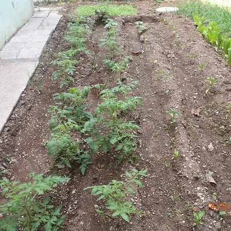 Sirin Bed & Breakfast