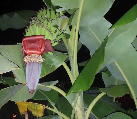 Nocleg ze śniadaniem Sirin 2*