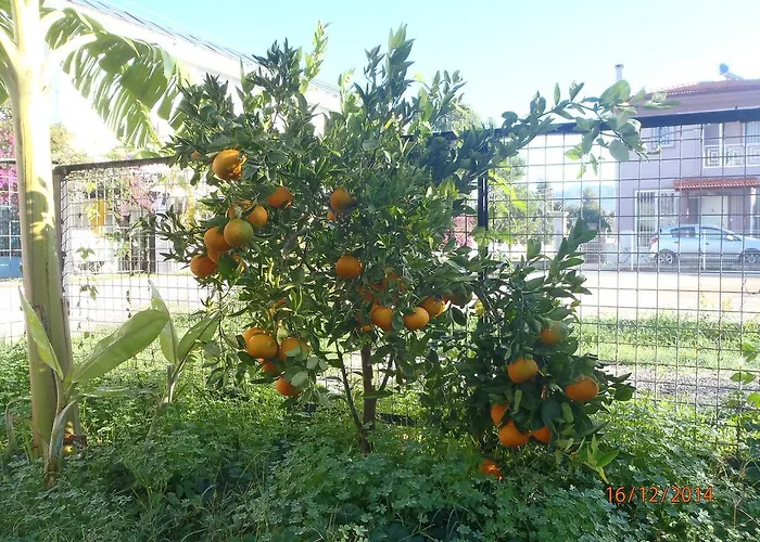 Sirin Nocleg ze śniadaniem 2*