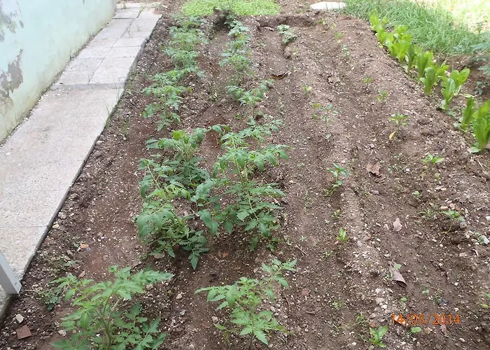 Sirin Nocleg ze śniadaniem